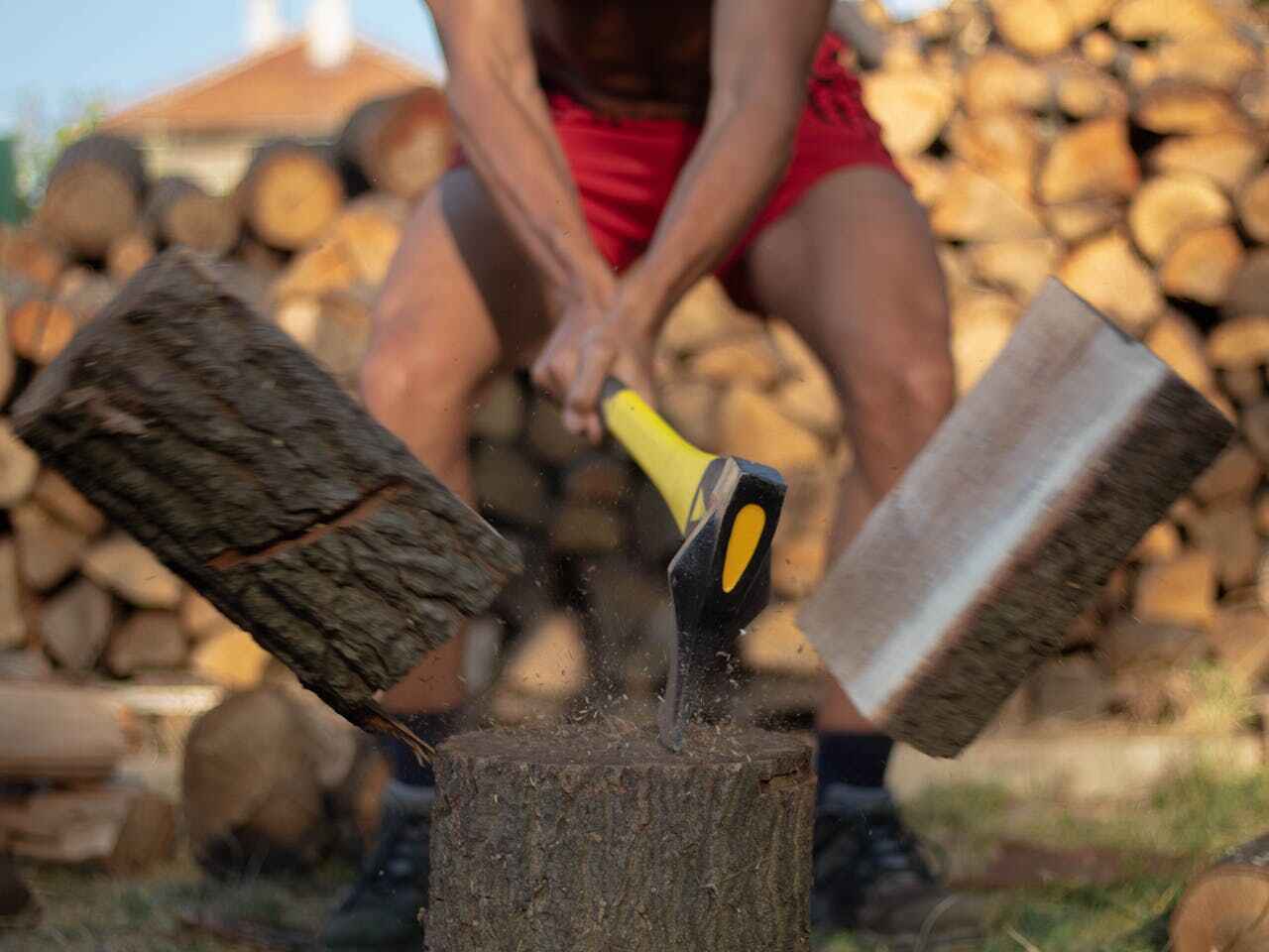 The Steps Involved in Our Tree Care Process in Hunters Creek Village, TX